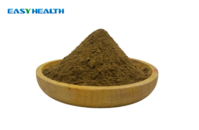 Bacopa Monnieri Extract Powder